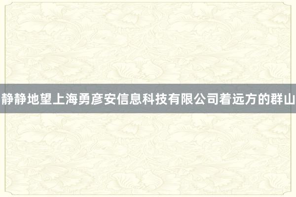静静地望上海勇彦安信息科技有限公司着远方的群山